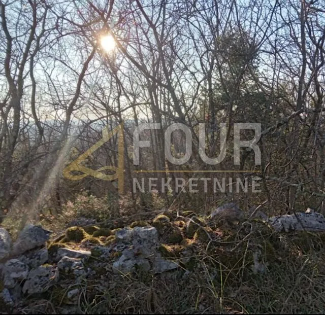 istra, bale, poljoprivredno zemljište 3975m2 - slika 2