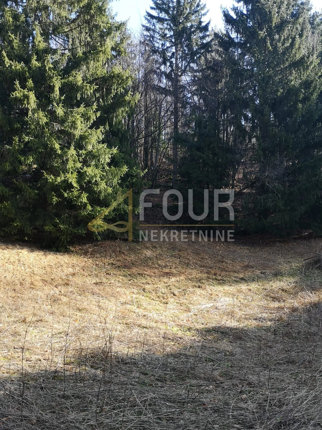 gorski kotar, lokve, poljoprivredno zemljište 22.210m2 - slika 3