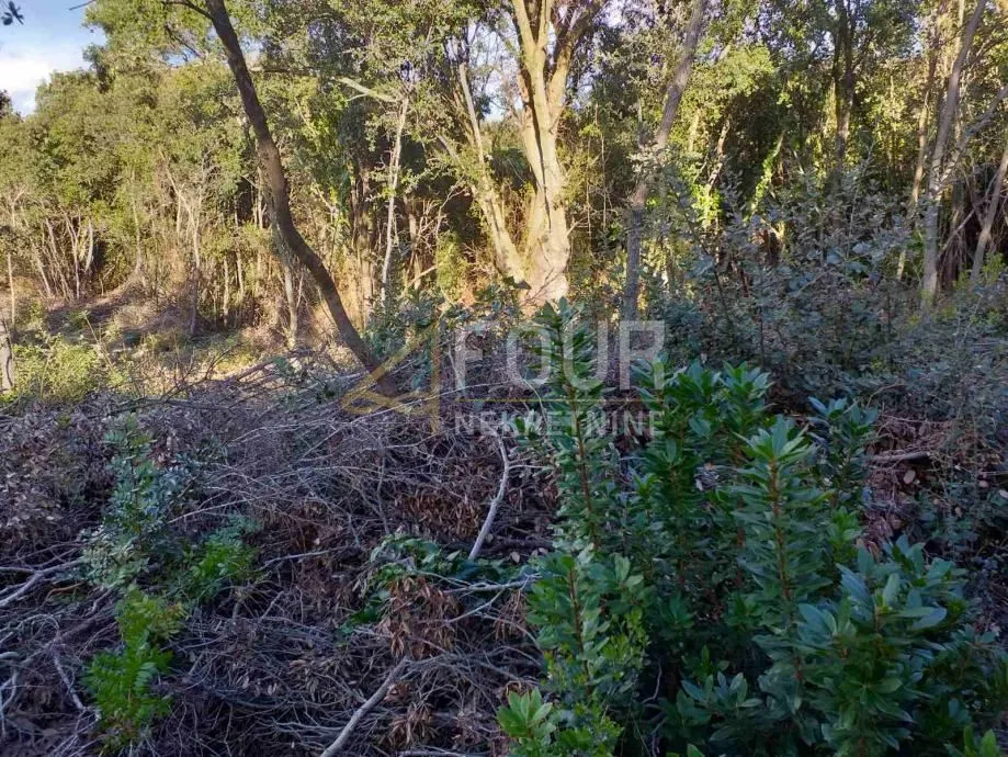 istra, duga uvala, poljoprivredno zemljište, 2.042m2 - slika 3