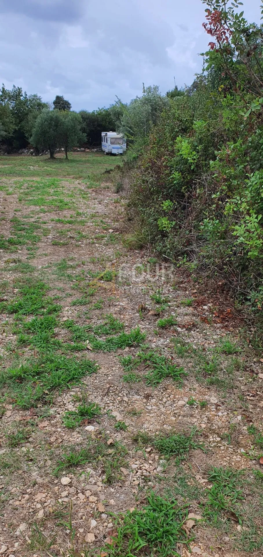 istra, rovinj, poljoprivredno zemljište 1.574m2 - slika 6