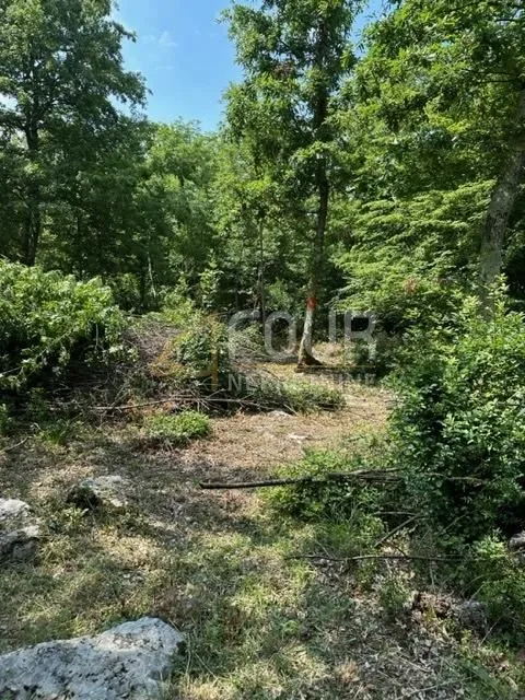 istra, poreč, poljoprivredno zemljište 4.756m2 - slika 3
