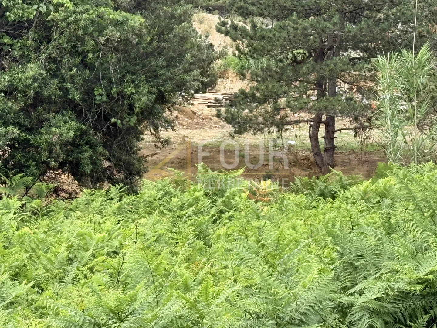 otok rab, lopar, zemljište 100m od mora - slika 6
