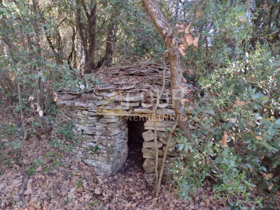 istra, marčana - okolica, poljoprivredno zemljište 7.494m2 - slika 4