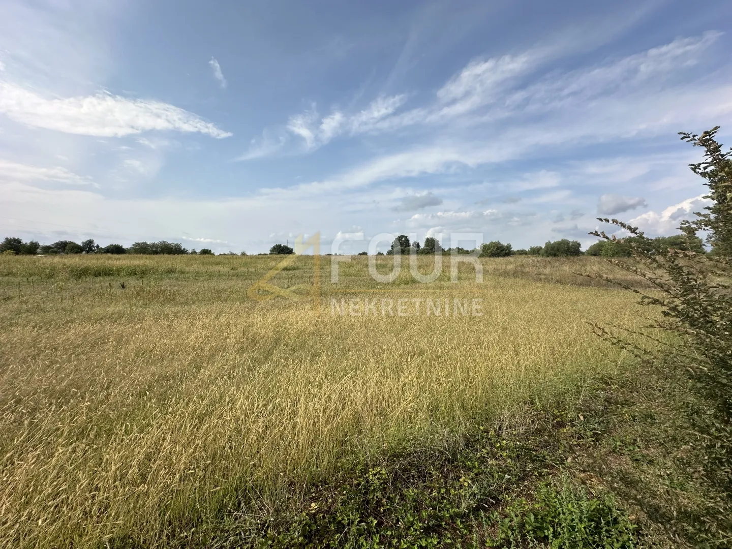 istra, tar, građevinsko zemljište, 5.086m2 - slika 5