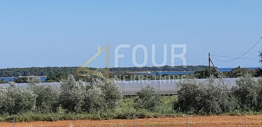istra, medulin, poljoprivredno zemljište 9.327m2 - slika 6