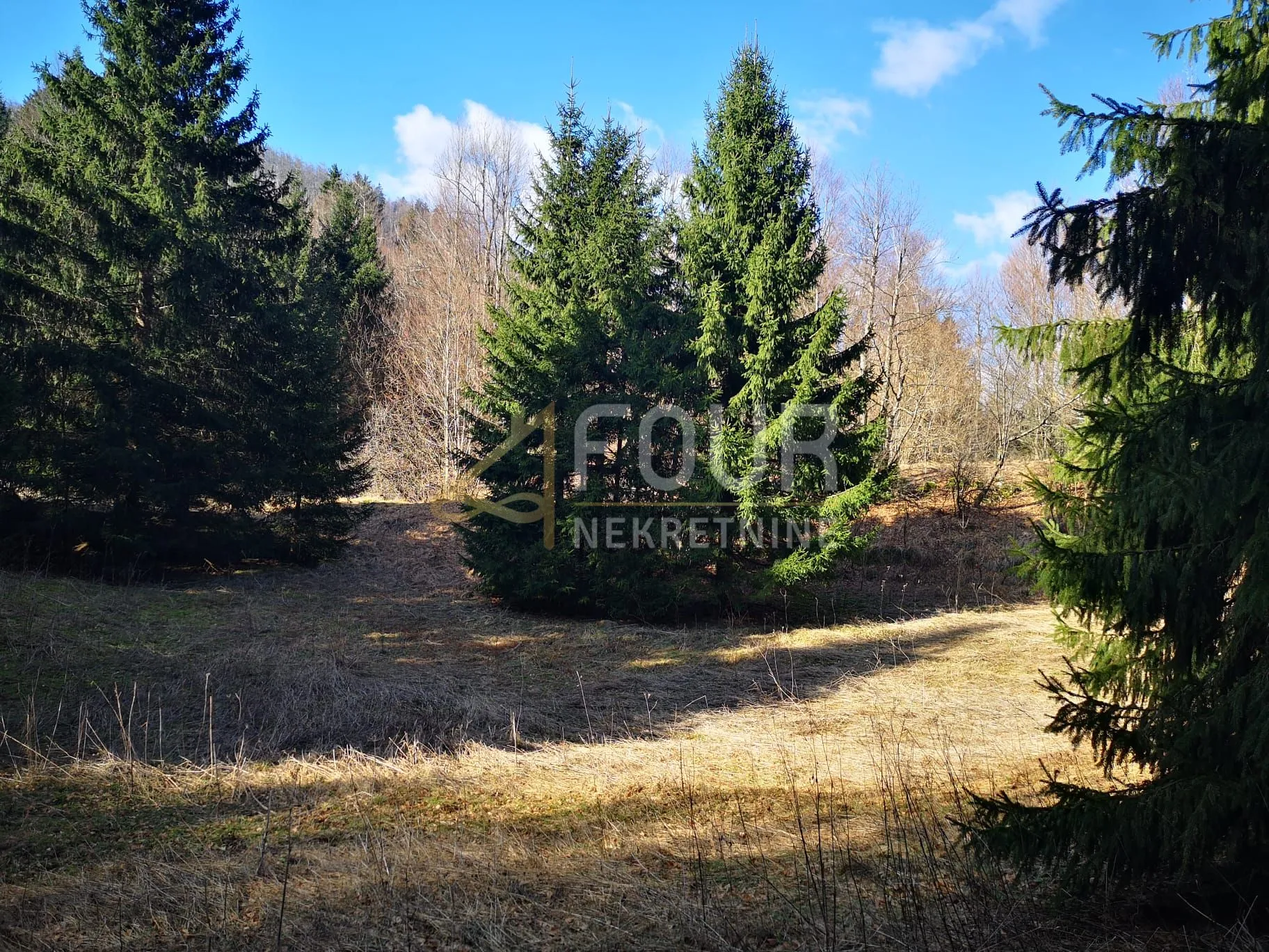 gorski kotar, lokve, poljoprivredno zemljište 22.210m2 - slika 2