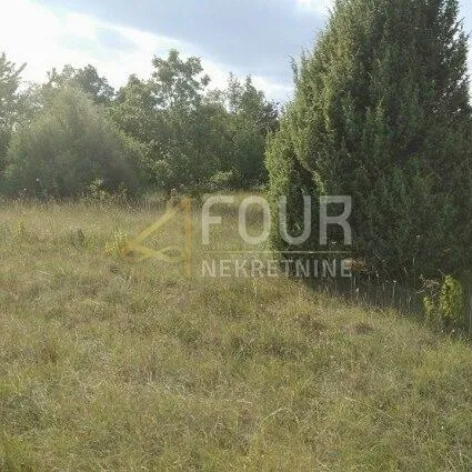 istra, svetvinčenat, poljoprivredno zemljište 8.700m2 - slika 5