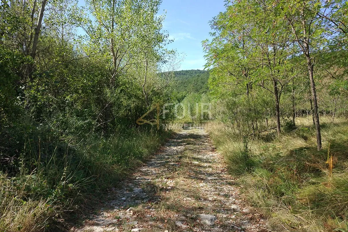 istra, kršan, zemljište 10.091m2 - slika 8