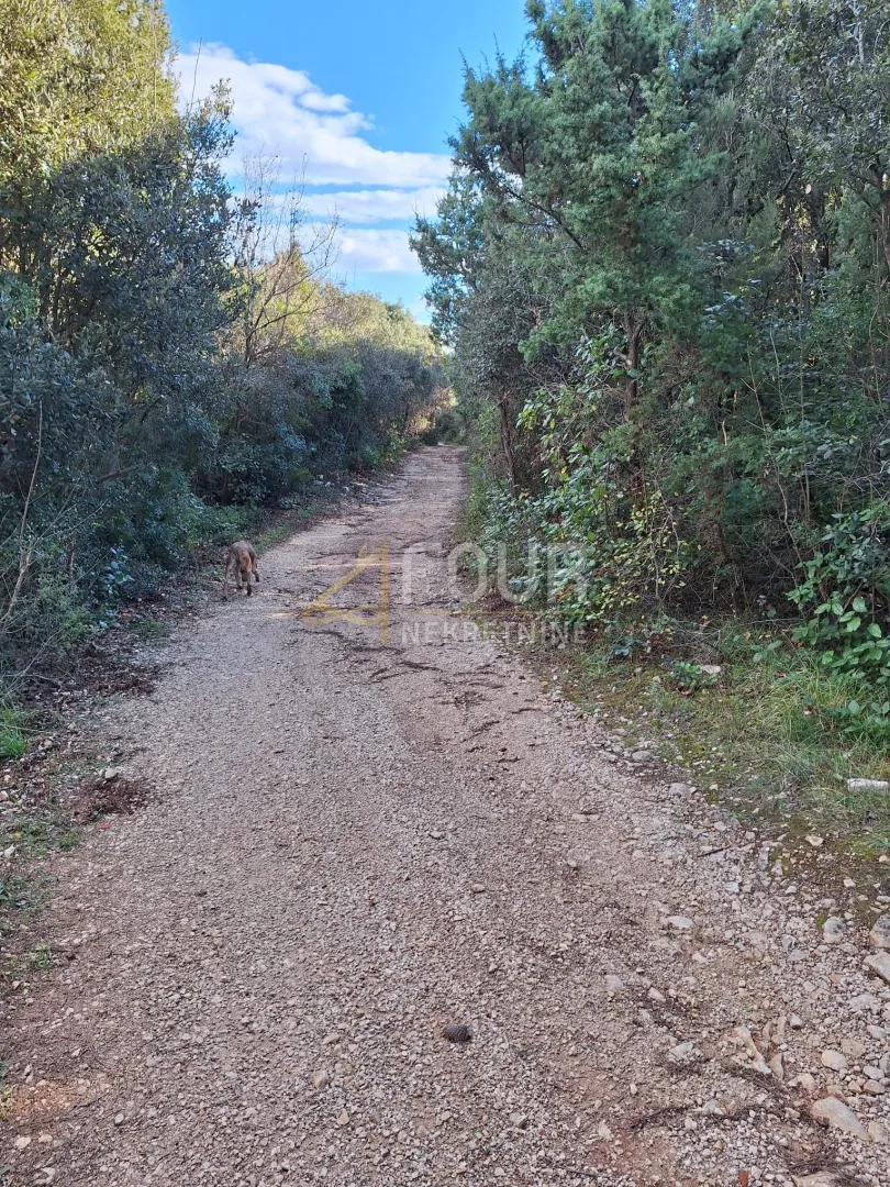 Istra, Kavran, poljoprivredno zemljište - Kavran, Marčana