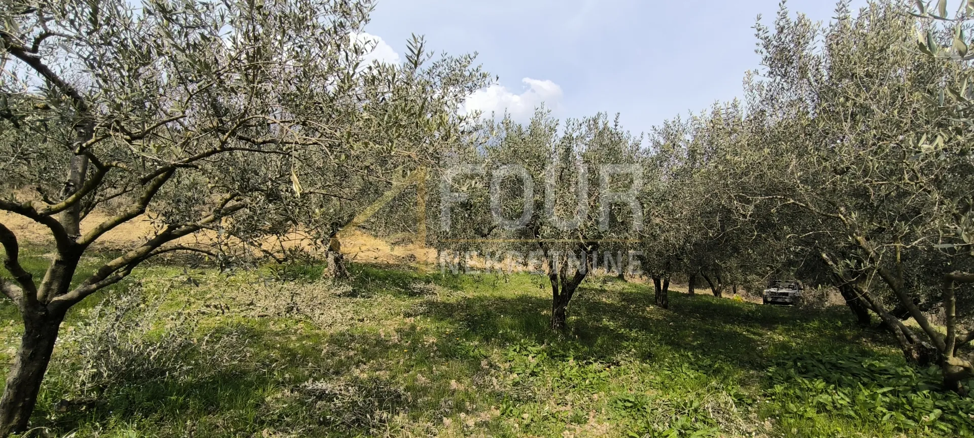 Istra, Buzet - okolica, poljoprivredno zemljište - Juradi, Buzet