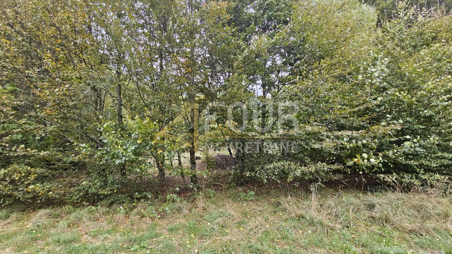 gorski kotar, okolica fužina, građevinsko zemljište, 4.762m2 - slika 9