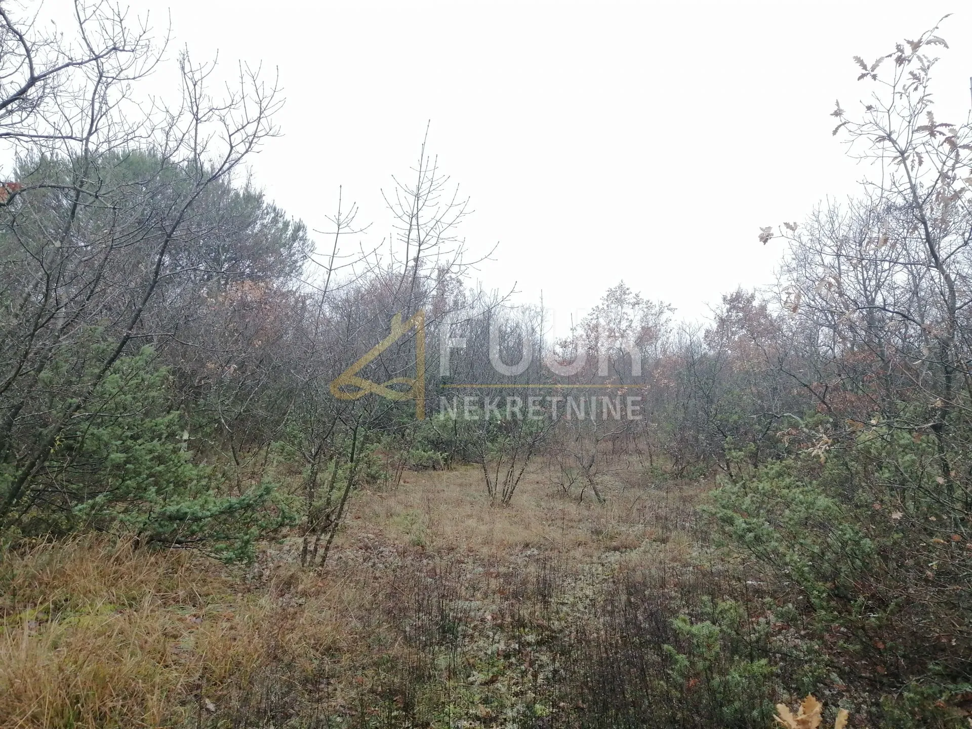 Istra, Vodnjan - okolica, poljoprivredno zemljište, 5.759m2