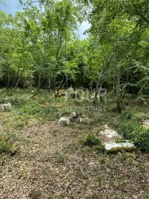 istra, poreč, poljoprivredno zemljište 4.756m2 - slika 5