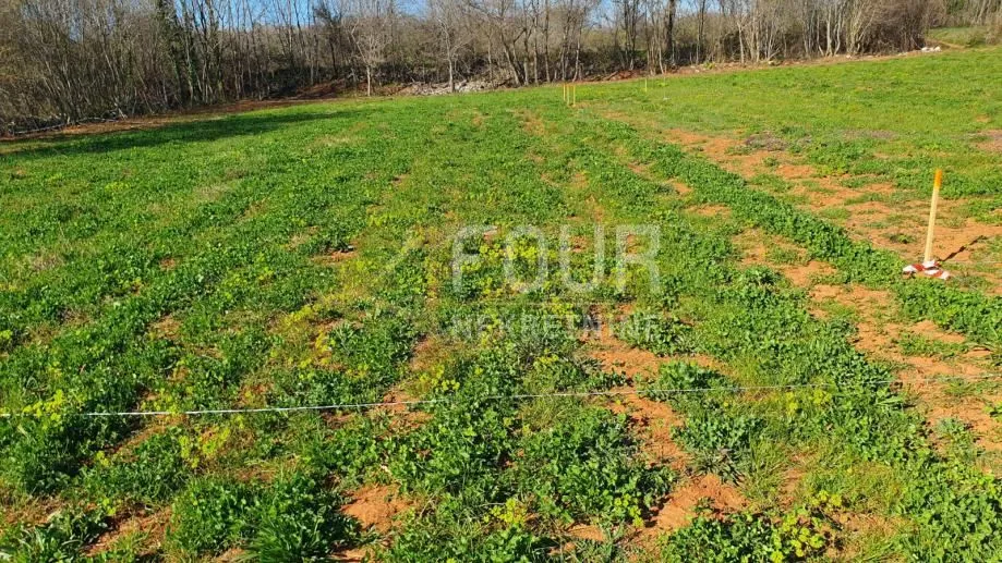Istra, Vodnjan, poljoprivredno zemljište 416m2