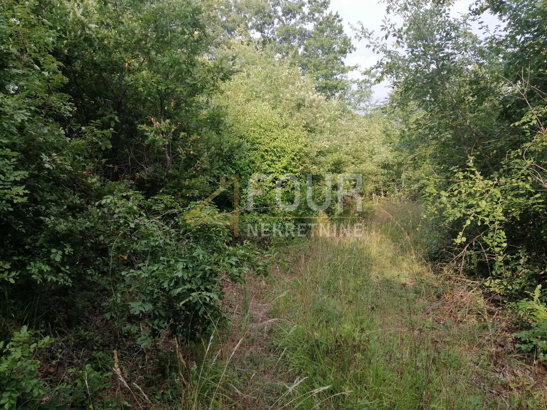 istra, kringa, poljoprivredno zemljište 11.979m2 - slika 3
