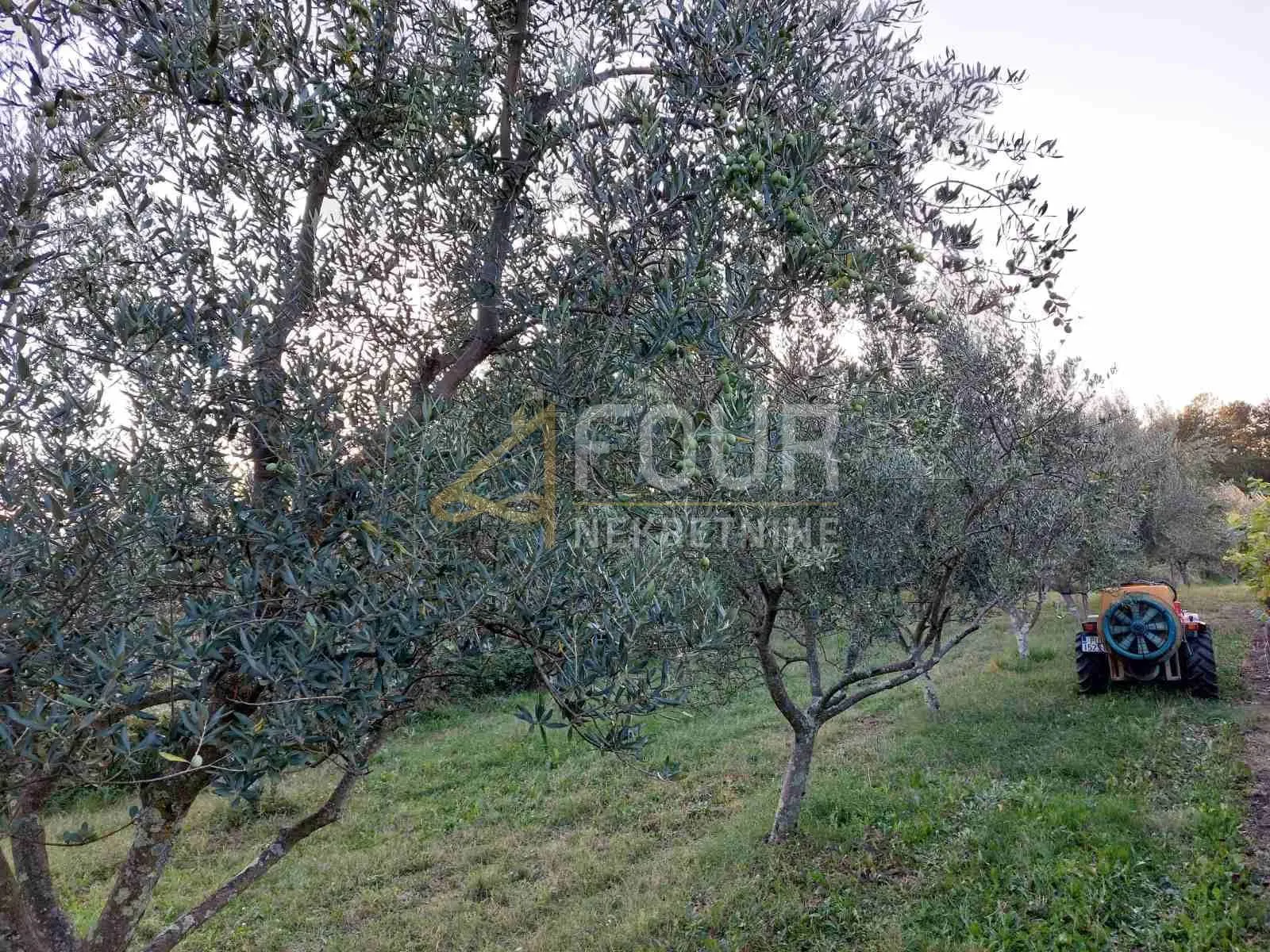 istra, buzet, poljoprivredno zemljište 13.468m2 - slika 3