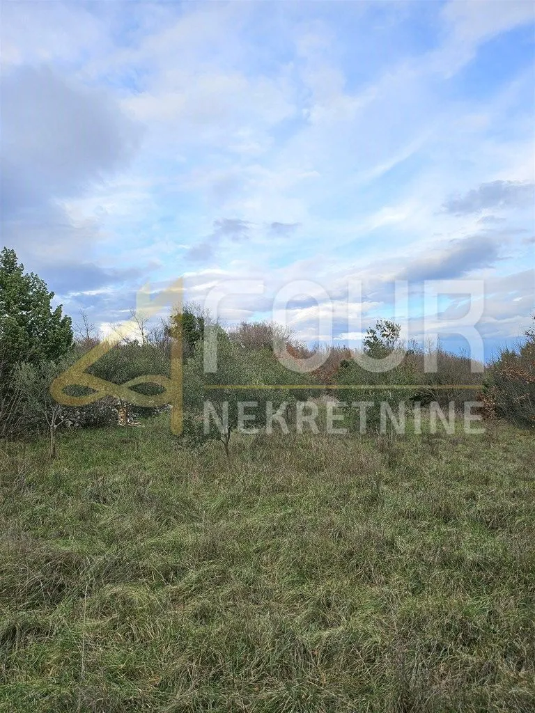 Istra, Duga Uvala, poljoprivredno zemljište 1.309m2 - Šegotići, Marčana