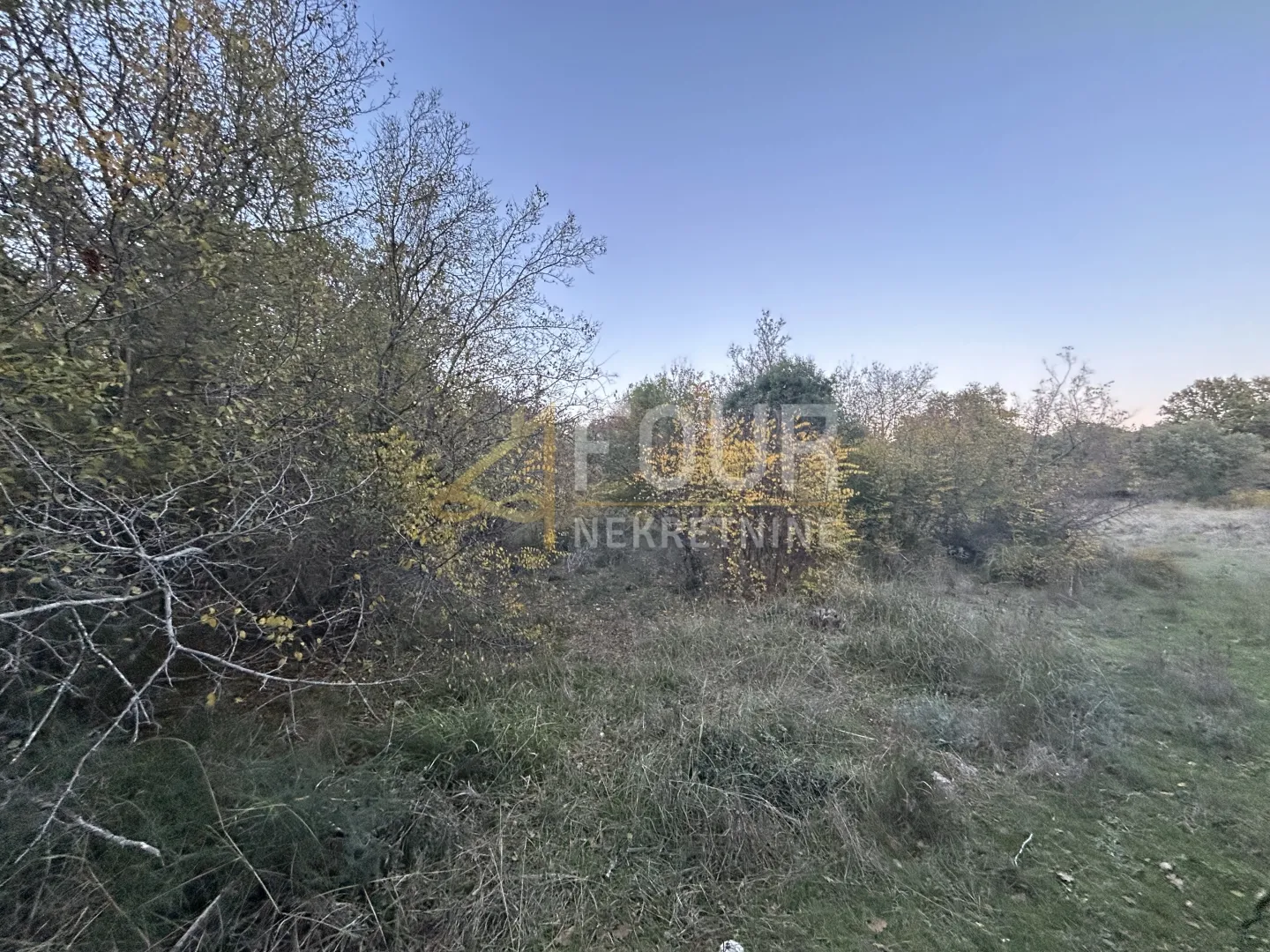 istra, pula - veli vrh, poljoprivredno zemljište 4.983m2 - slika 2