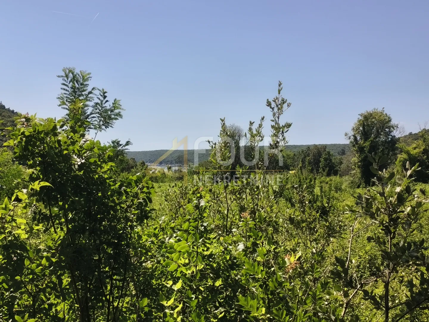 istra, valtura, poljoprivredno zemljište 14500m2 - slika 5