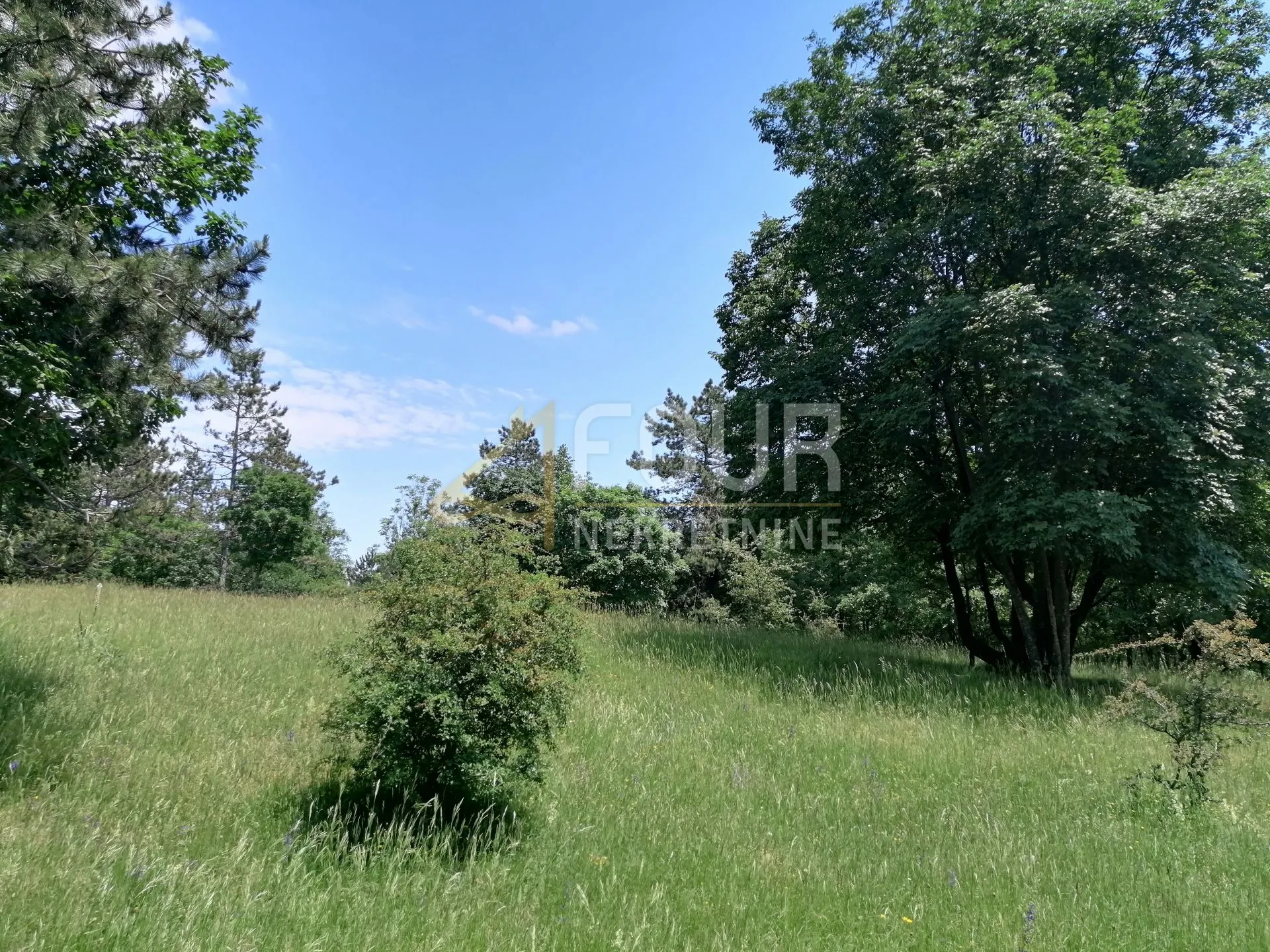 klana, građevinsko zemljište, 2.732m2 - slika 6