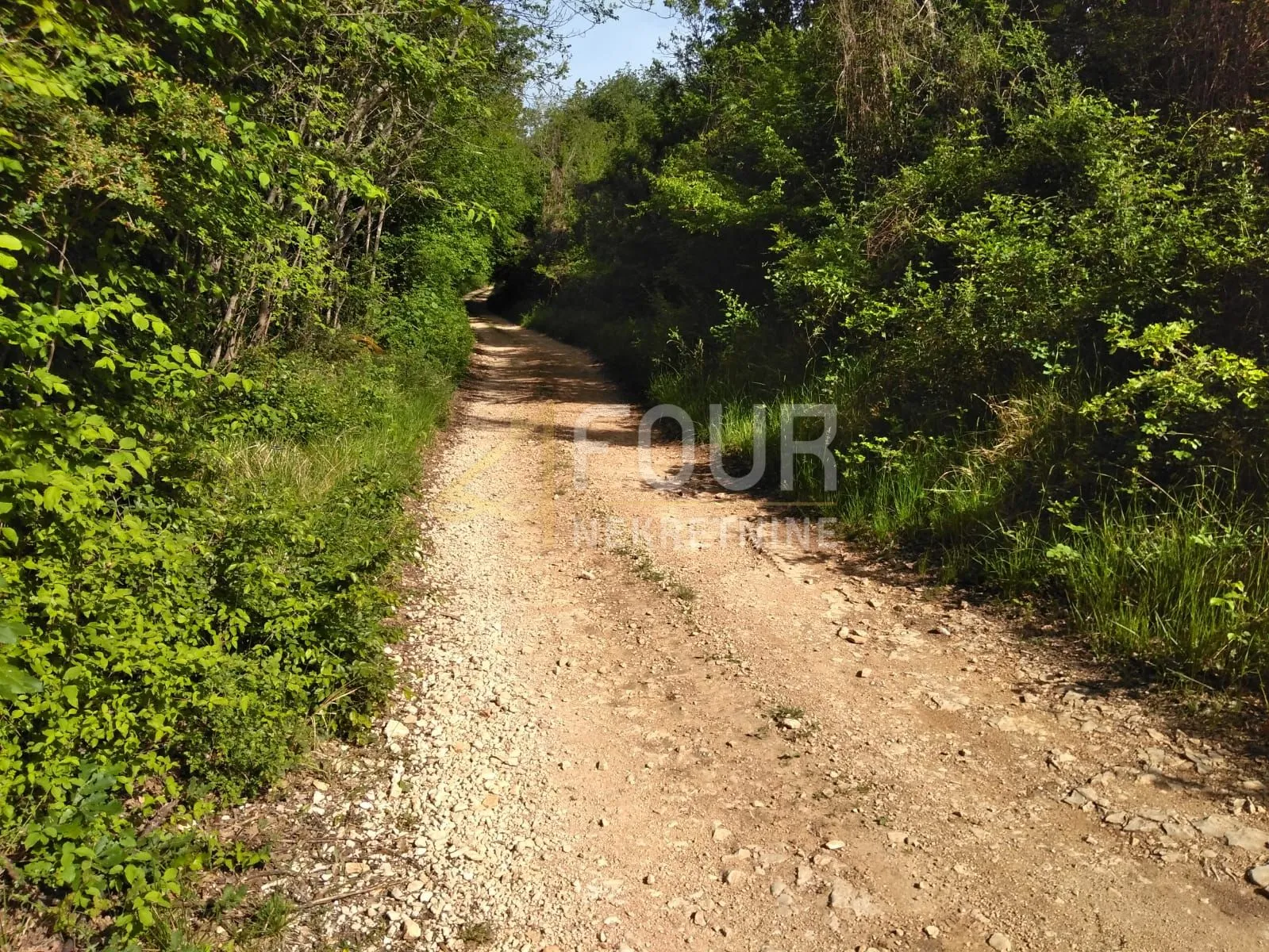 istra, višnjan - okolica, poljoprivredno zemljište 62.710m2 - slika 8
