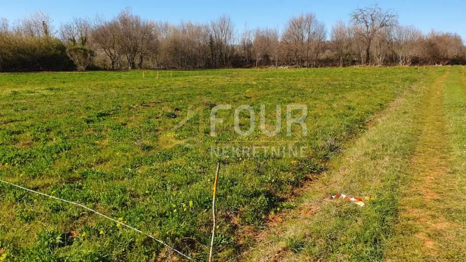 Istra, Vodnjan, poljoprivredno zemljište 448m2