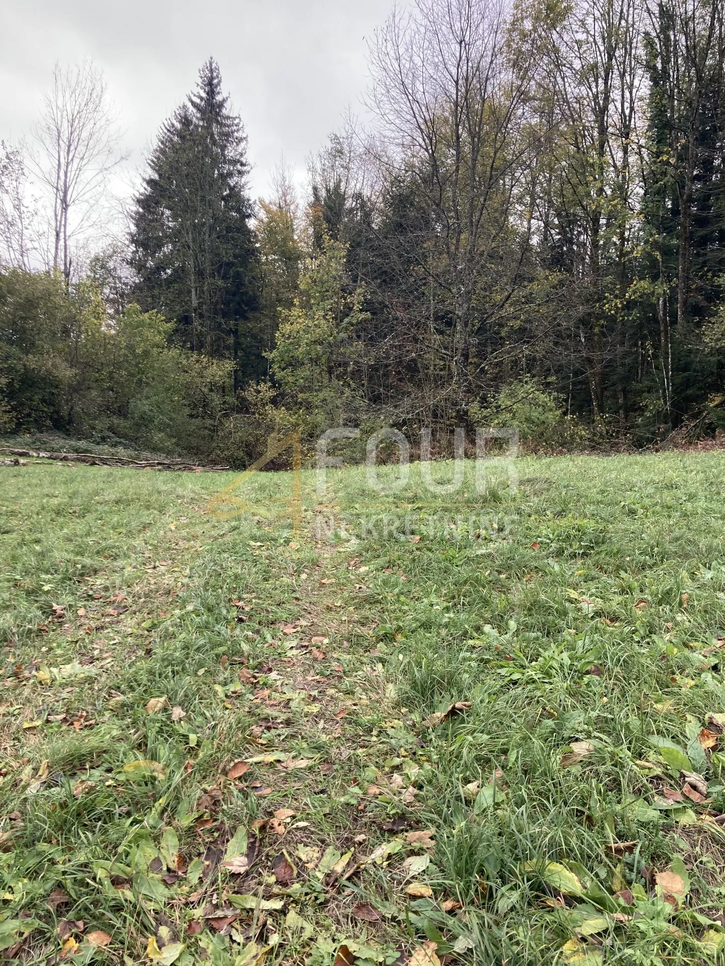gorski kotar, vrbovsko, 16.057m2 - građevinski dio od 3.000m2 - slika 3