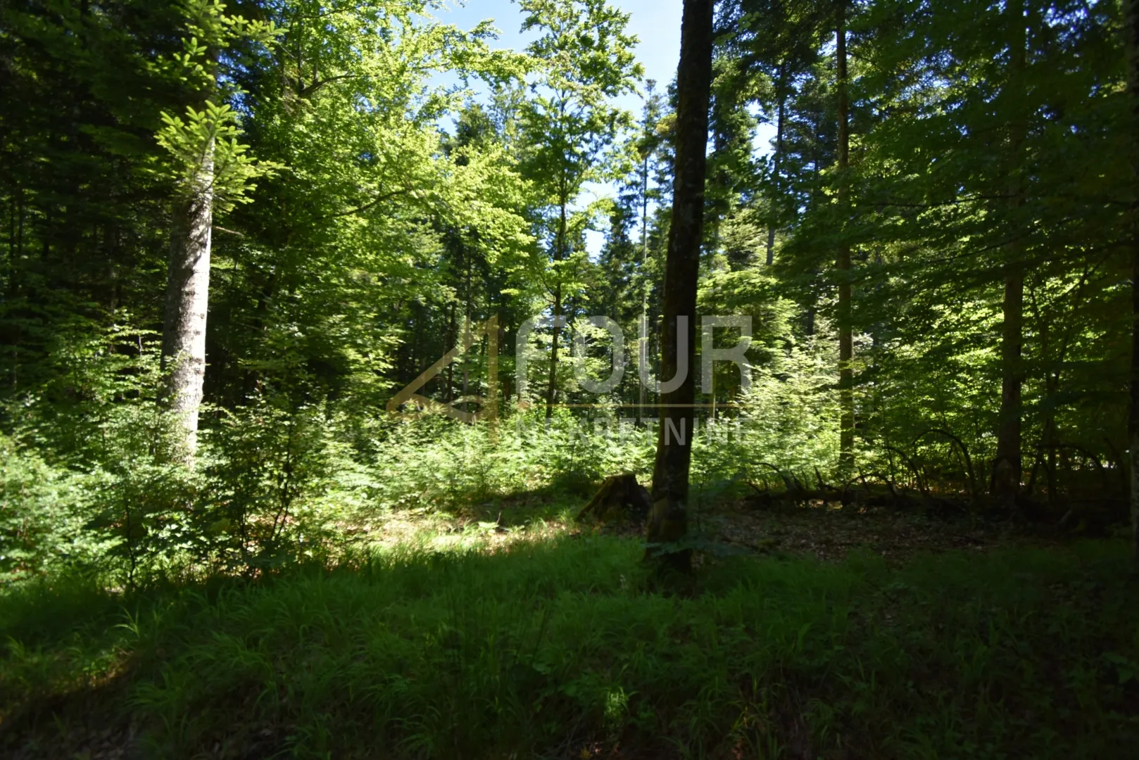 gorski kotar, vrbovsko - okolica, zemljište 17.835m2 - slika 8