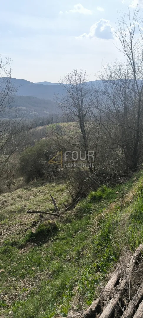 istra, buzet - okolica, poljoprivredno zemljište - slika 2