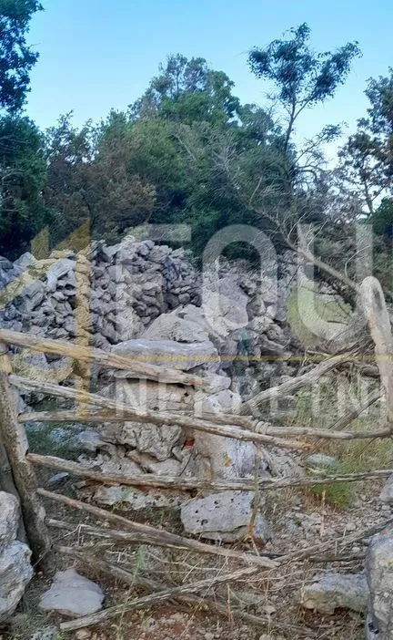 otok cres, belej, poljoprivredno zemljište 121.064m2 - slika 2