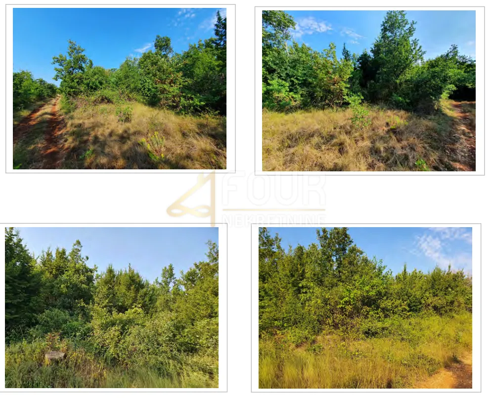 istra, kaštelir, poljoprivredno zemljište, 13.182m2 - slika 3
