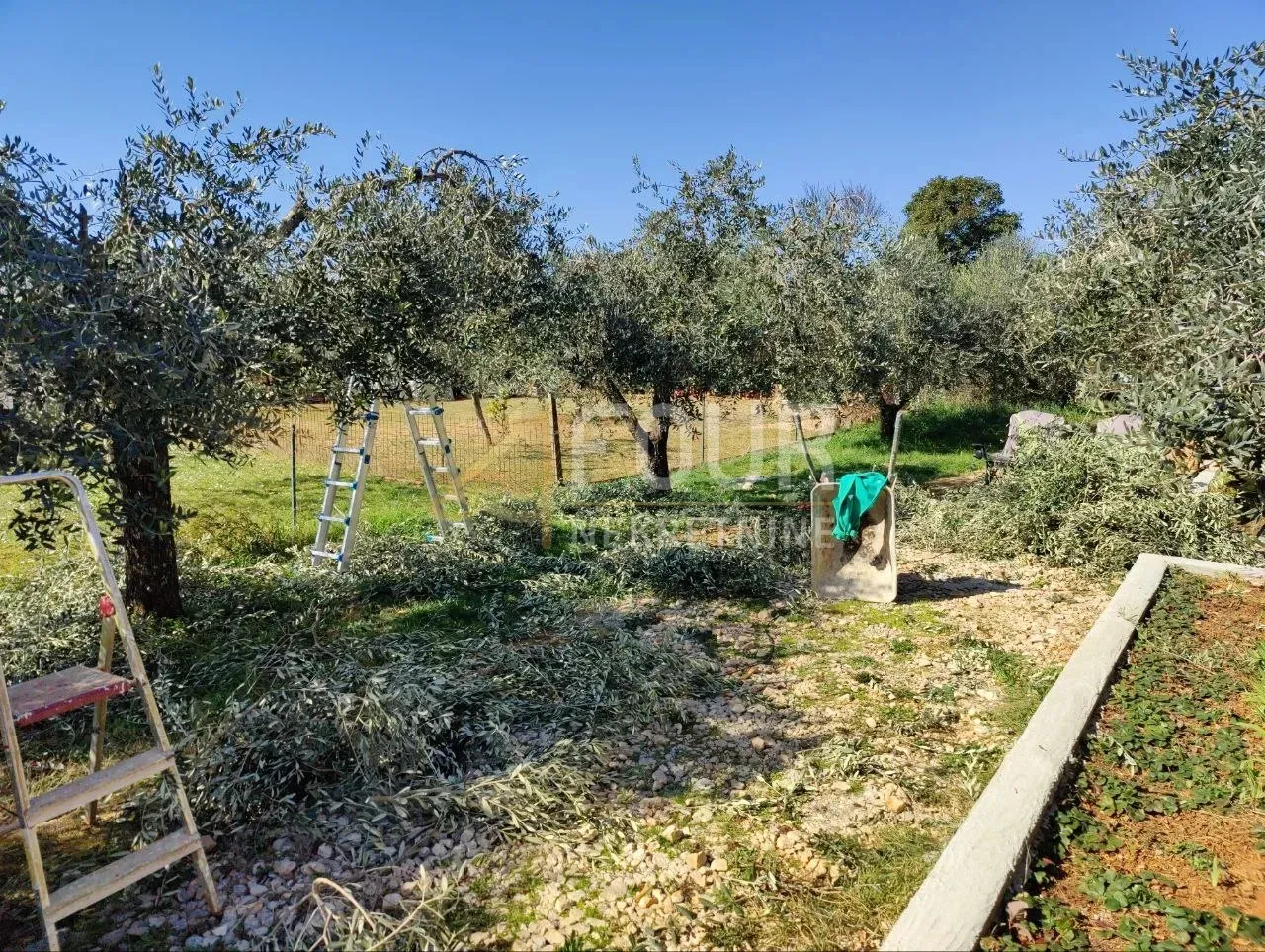 istra, umag, 3.076m2 - zemljište - slika 2