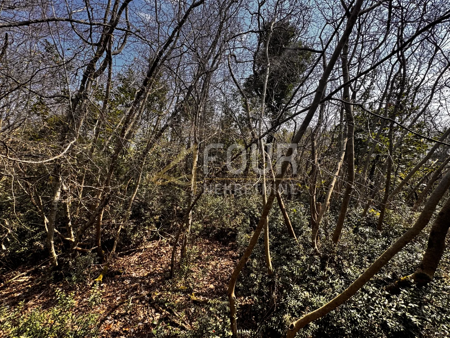 opatija, ičići, poljoprivredno zemljište, 2.473m2 - slika 6