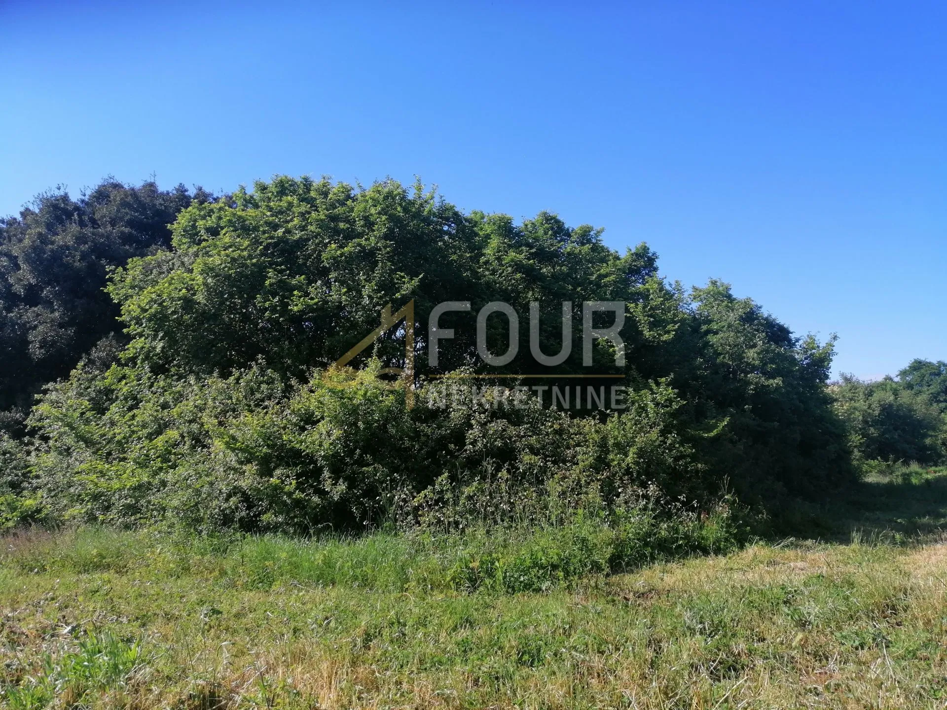 Istra, Valtura, poljoprivredno zemljište 9.985m2 - Valtura, Ližnjan