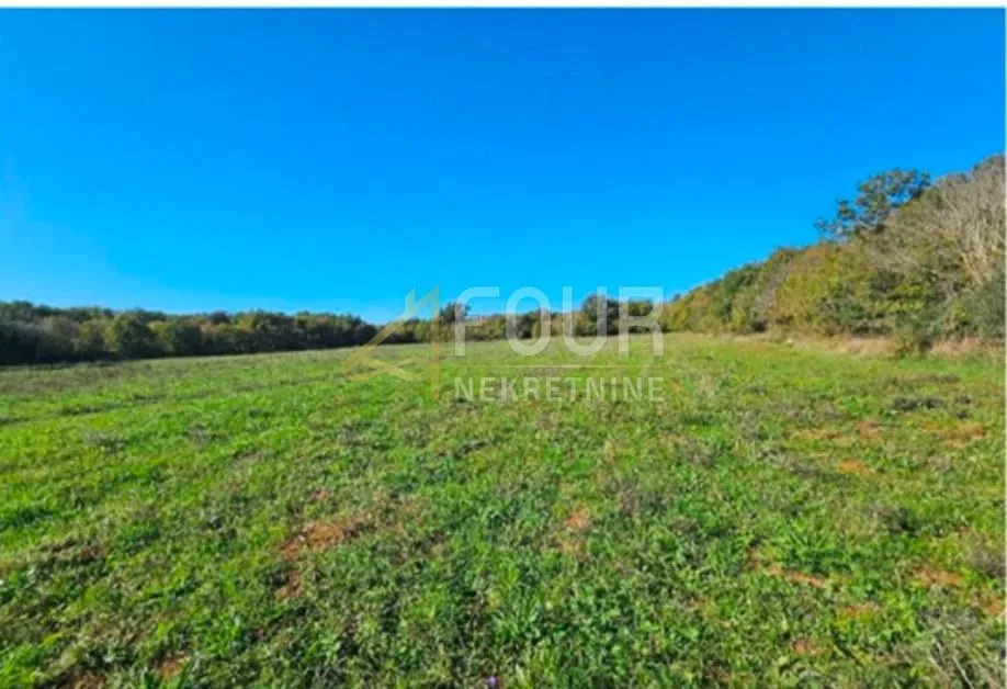 Istra, Valtura, poljoprivredno zemljište, 39.659m2 - Valtura, Ližnjan