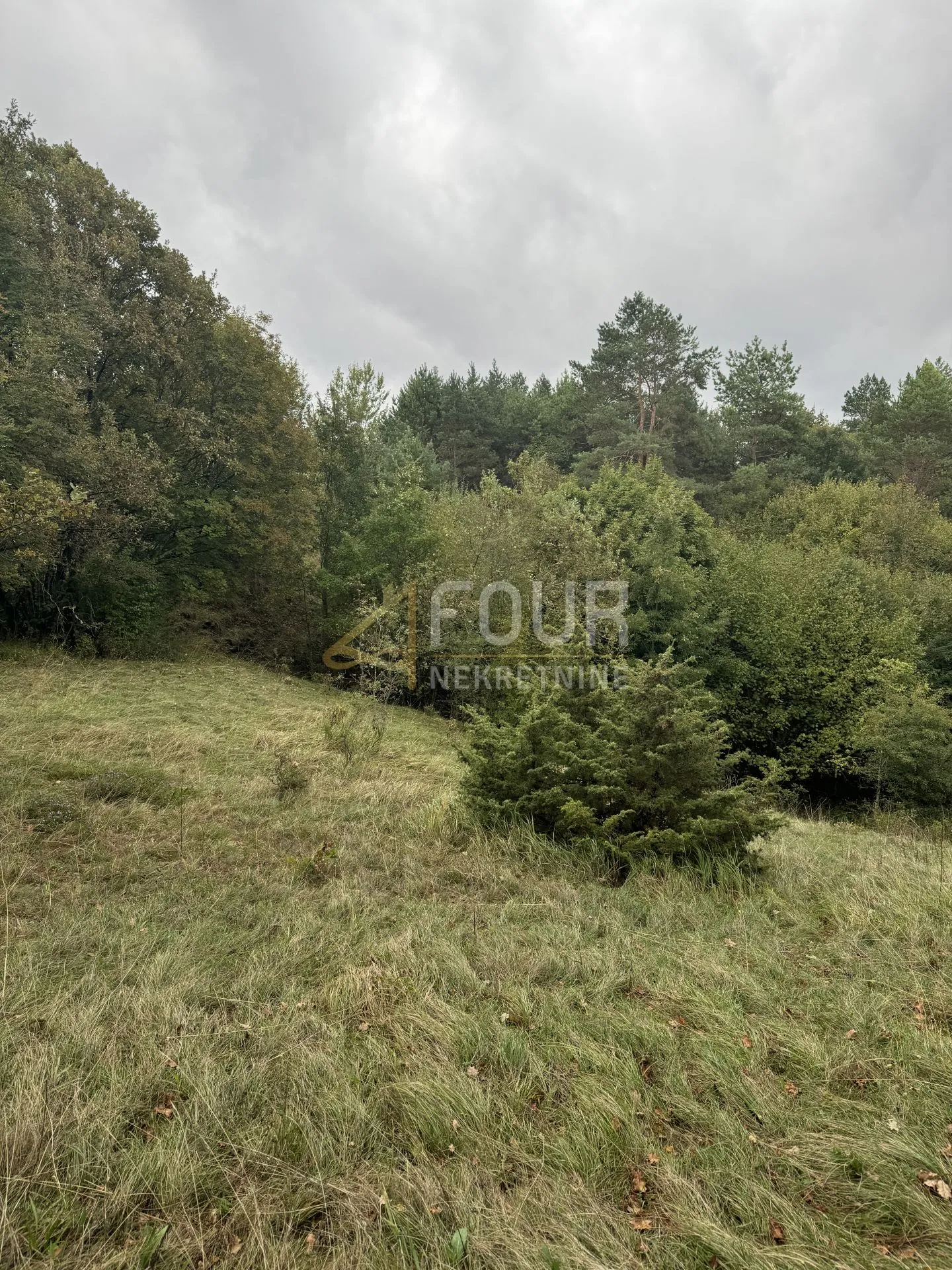 rupa, zemljište 5.021m2 - slika 2