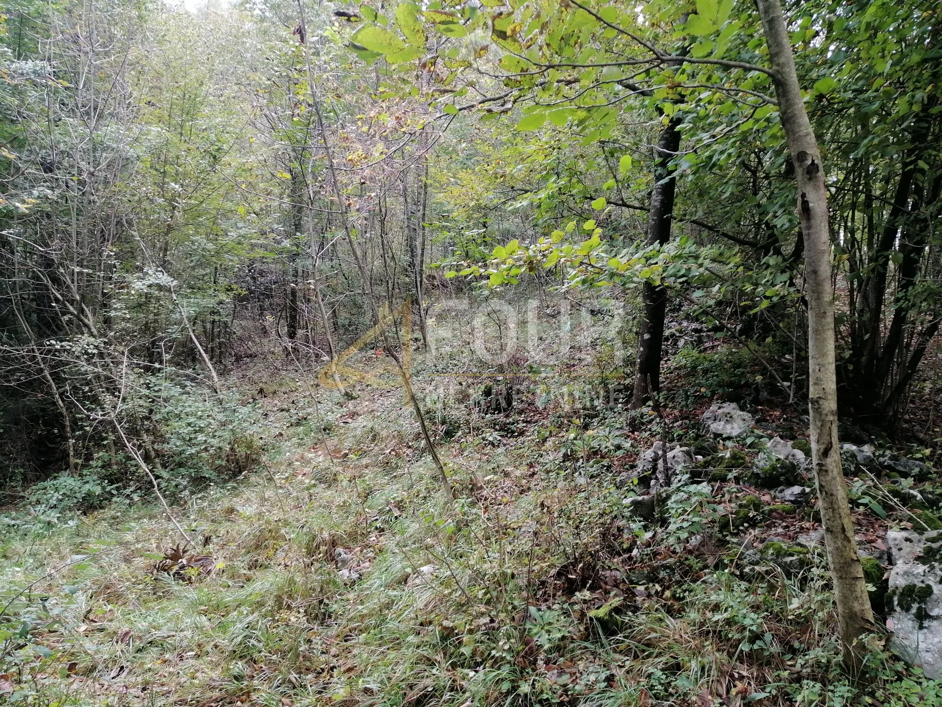 klana, građevinsko zemljište 8.493m2 - slika 3