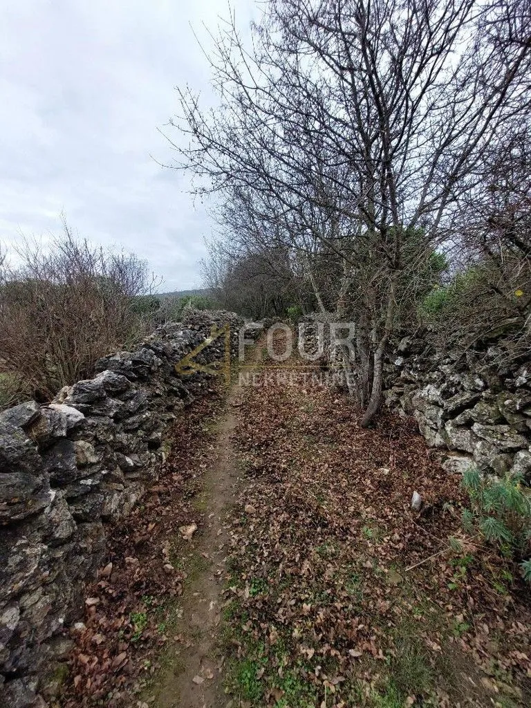 otok cres, belej, poljoprivredno zemljište 15.066m2 - slika 2