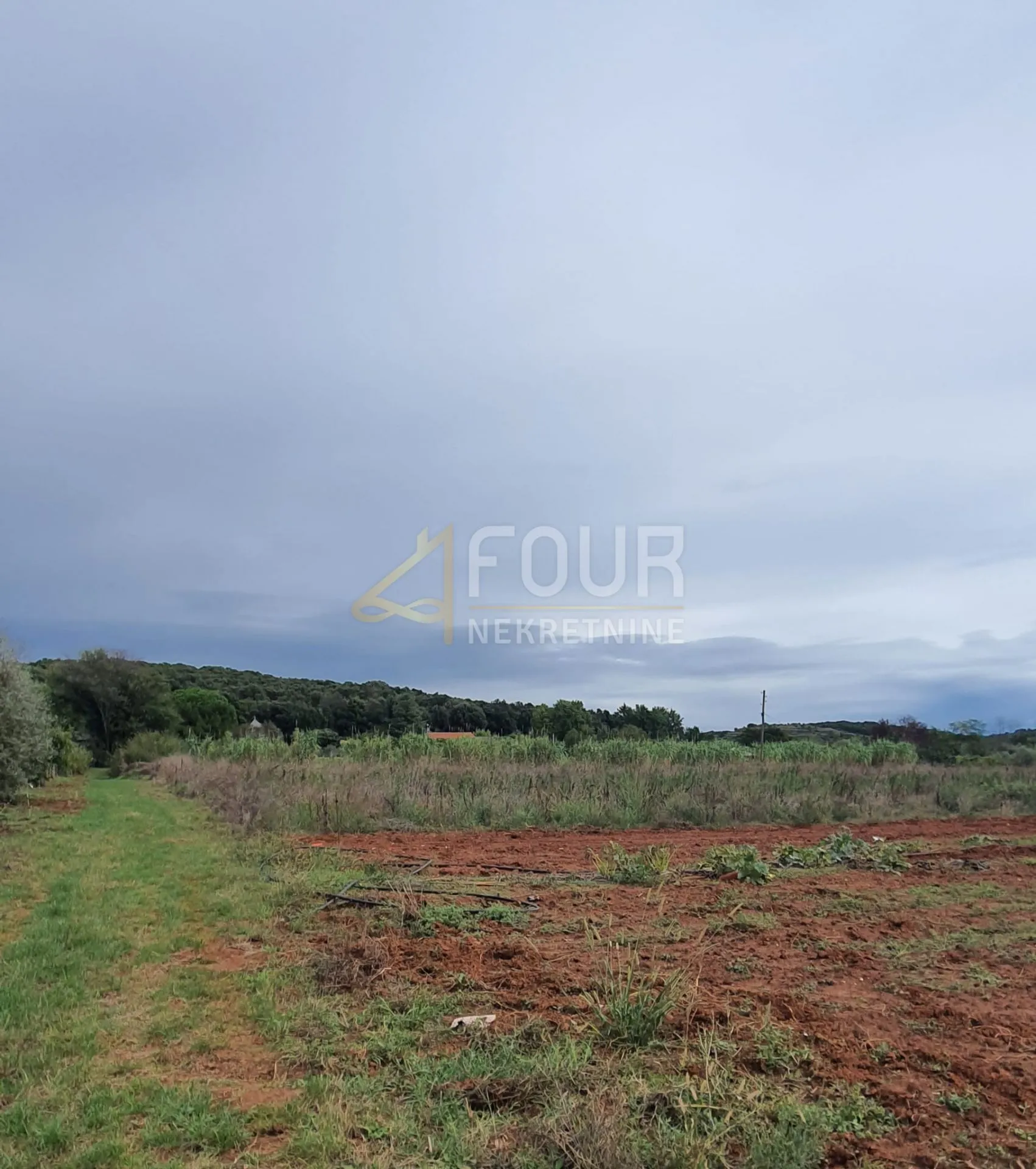 istra, rovinj, poljoprivredno zemljište 5000m2 - slika 6