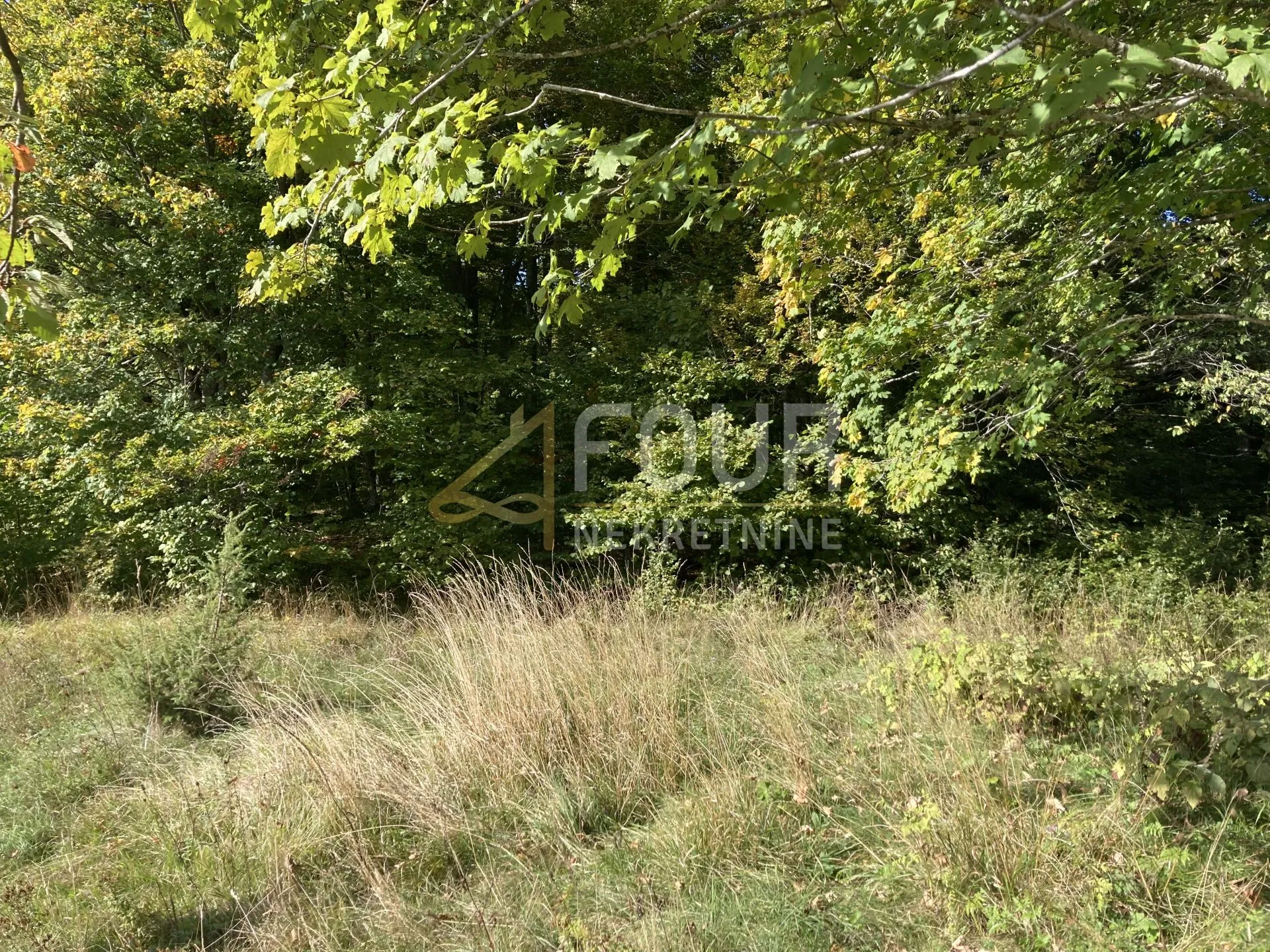 gorski kotar, stari laz, zemljište od 3.972m2 od čega je 1.400m2 građevinski dio - slika 2