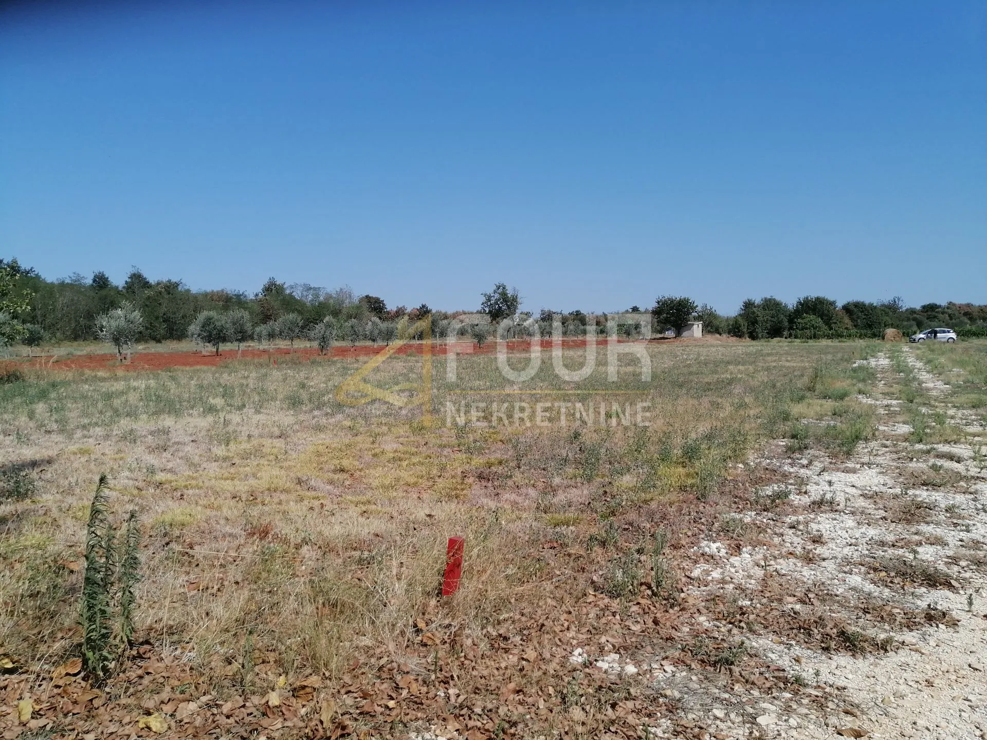 istra, marčana, poljoprivredno zemljište, 500m2 - slika 6