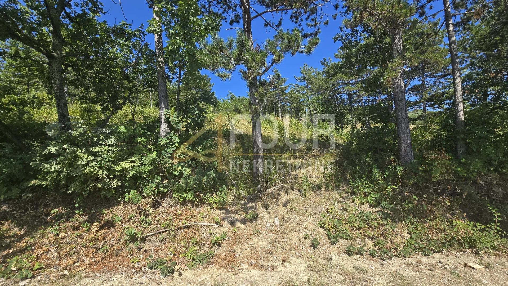 istra, buzet, 2.068m2 zemljište s projektom za modernu vilu s bazenom - slika 9