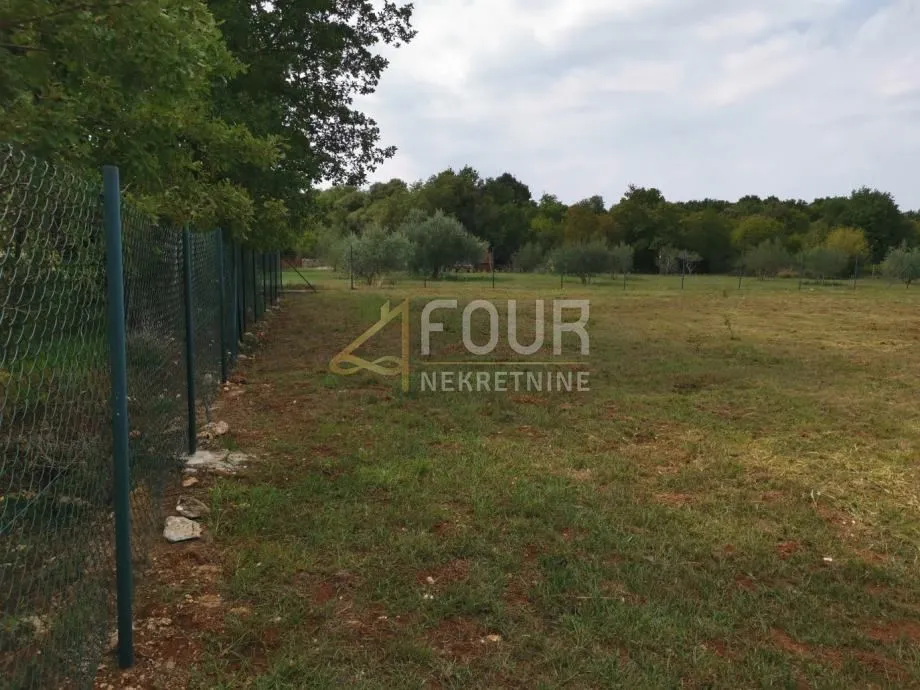istra, barbariga, gospodarska zgrada na parceli 4.768m2 - slika 4