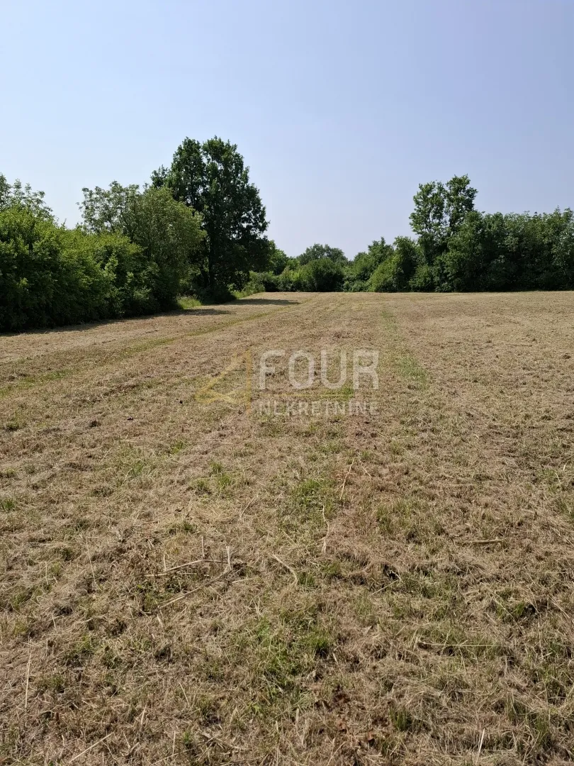 istra, baderna, poljoprivredo zemljište, 4.122m2 - slika 2