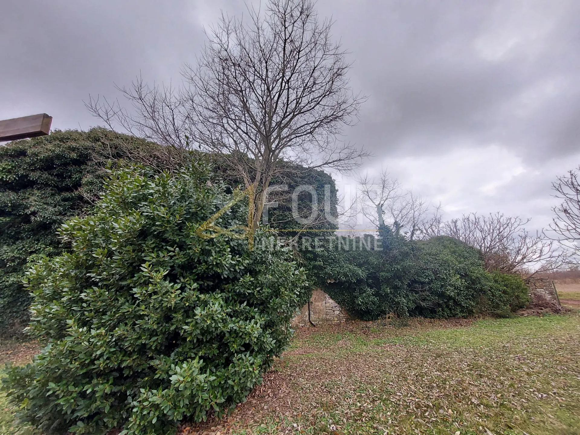 Istra, Bale - okolica, kamena ruševina na parceli od 7.801m2