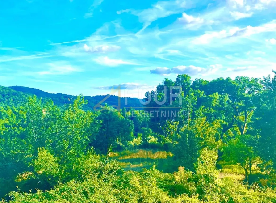 istra, cerovlje, zemljište 2.257m2 sa 6 ucrtanih ruševina - slika 5