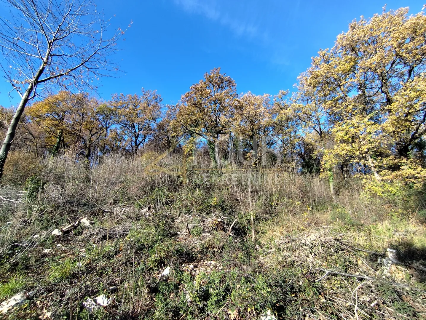 veprinac, građevinsko zemljište 1.945m2, pogled na more - slika 3