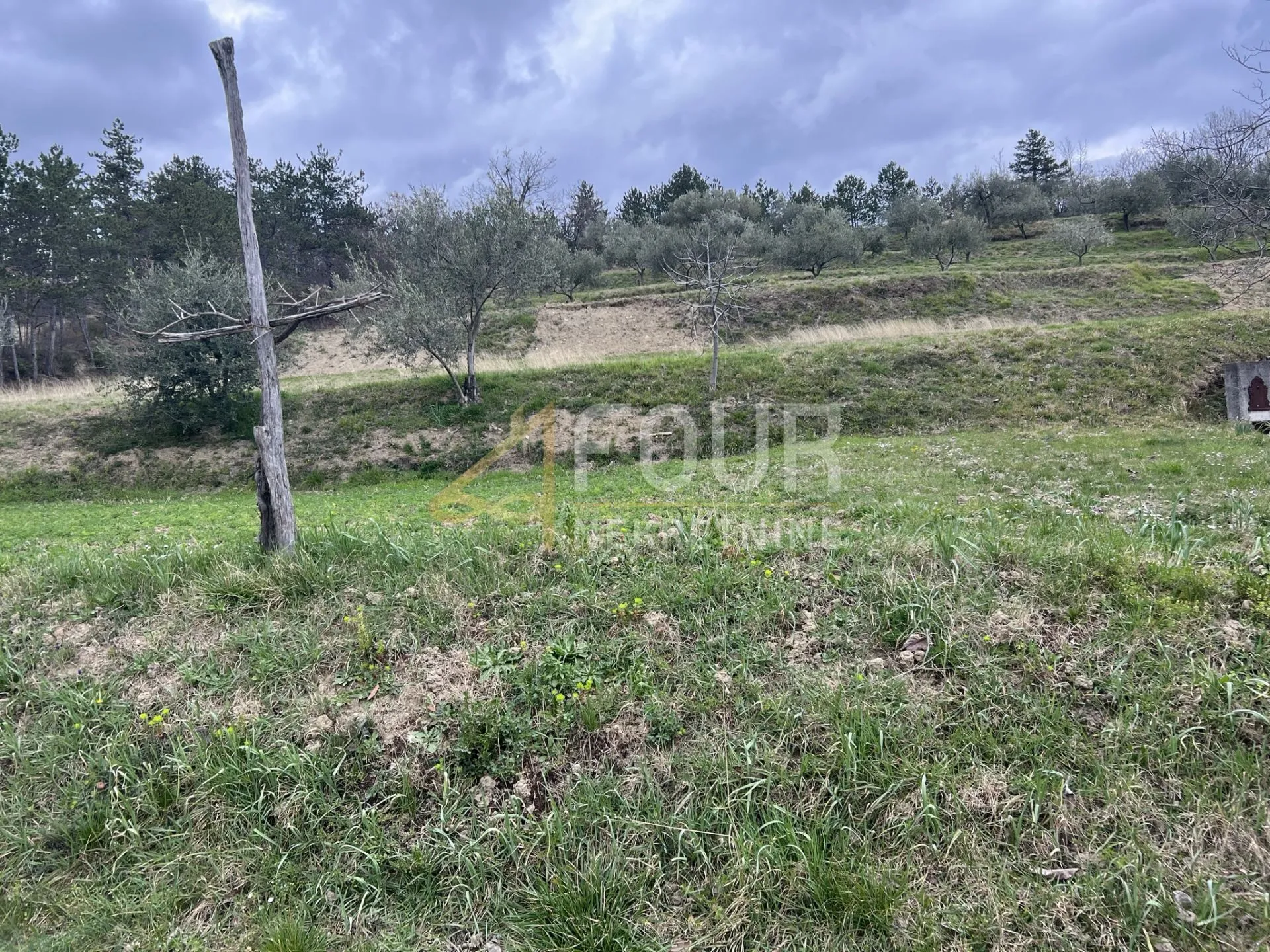 istra, buzet - okolica, građevinsko zemljište 2.744m2 - slika 5