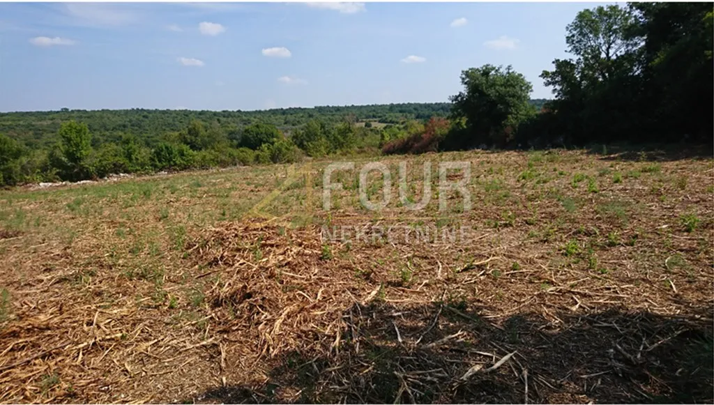 istra, kanfanar - okolica, građevinsko zemljište 8.599m2 - slika 2