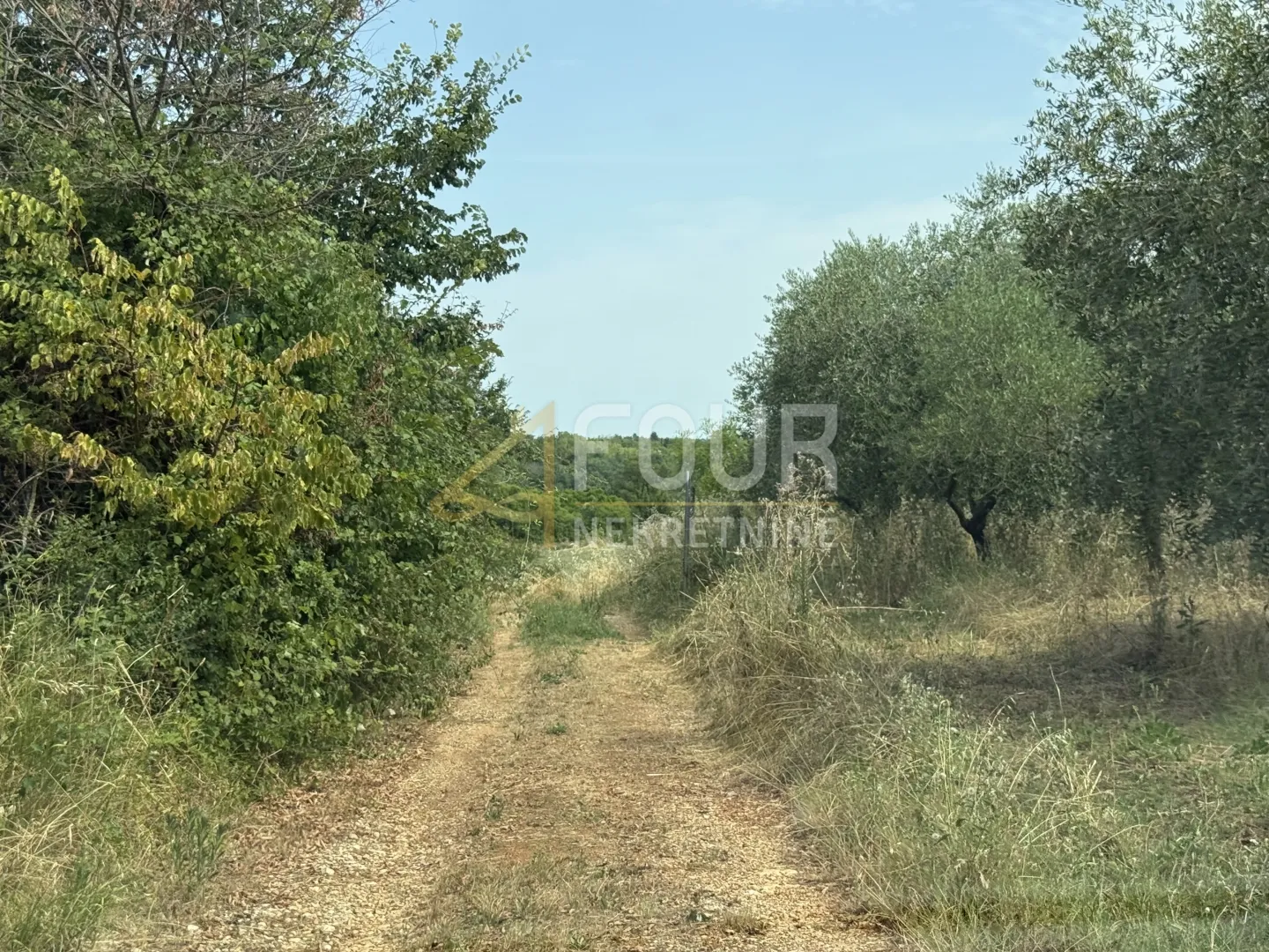 istra, vodnjan, gospodarska zgrada, 100m2 - slika 13